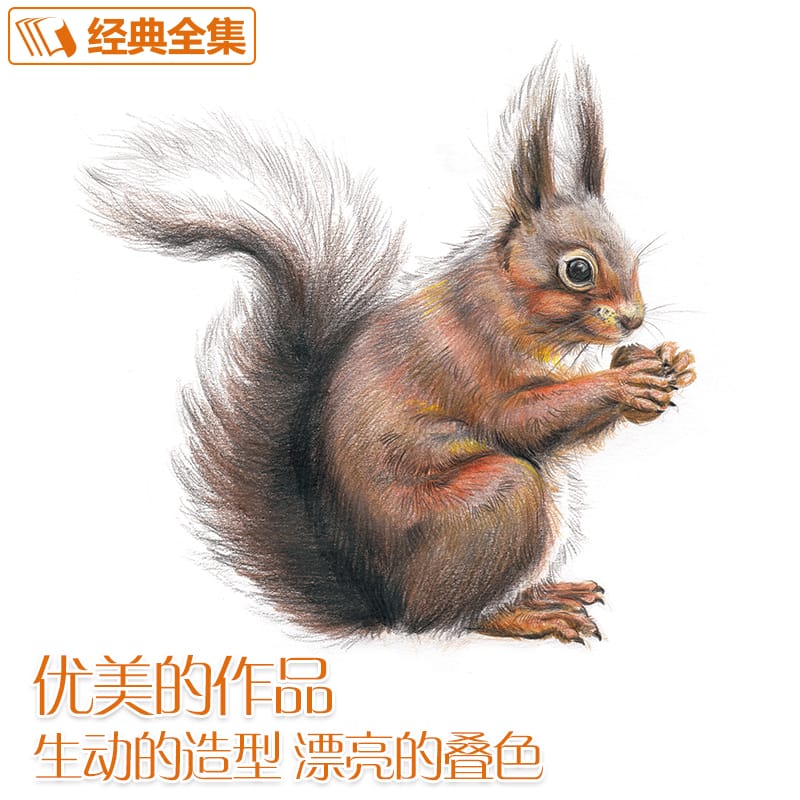 Color Pencil Drawing Zero Basis Entry Hand-Painted Illustration Animal And Plant Vegetable Beginner Child Adult Coloring Book