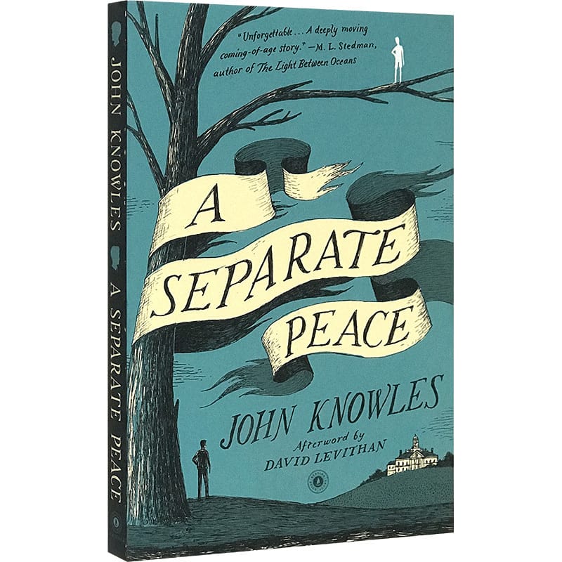 A Separate Peace, Teen English in books story, Film on novel based 9780743253970