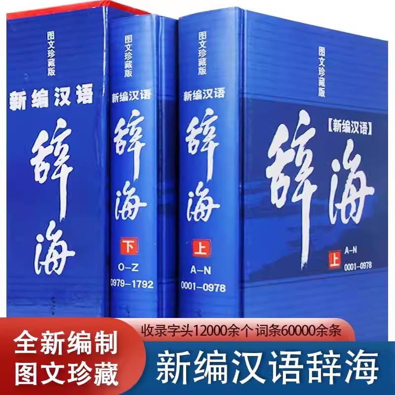 New 2pcs/set Cihai Modern Chinese Dictionary Revised Reference Book