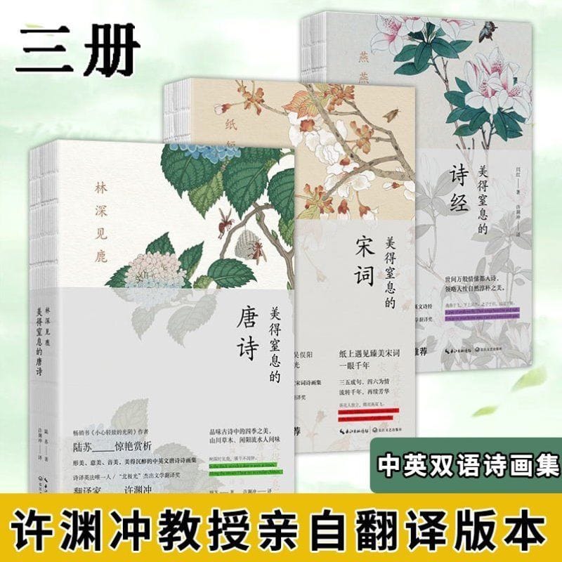 The Suffocatingly Beautiful Tang Poems And Song Chinese  English Bilingual Literature Prose Famous Books