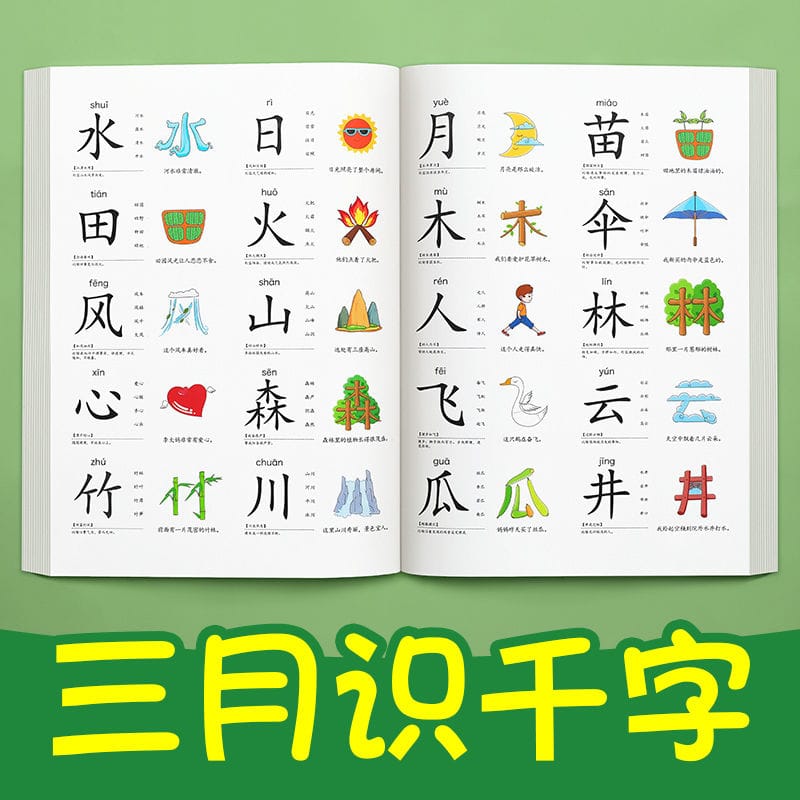 Toddler Pictographic Literacy King Book 1200 Words Children Look at the Picture Recognition Card Baby Puzzle