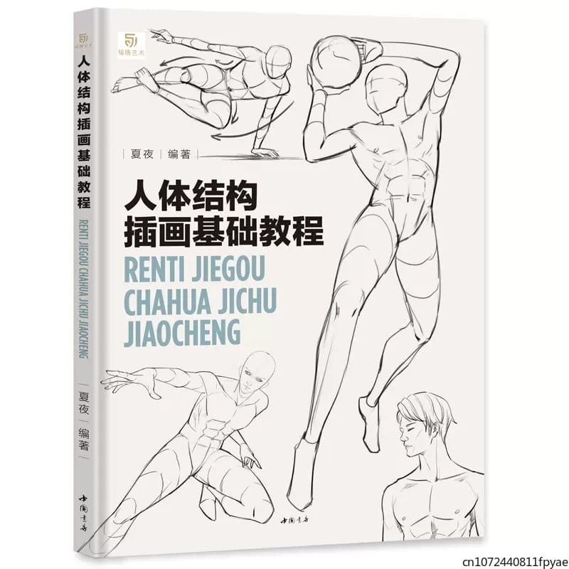 A Basic Tutorial on Human Body Structure Illustration Art Book Dynamic structure Techniques For Human Body Sketching