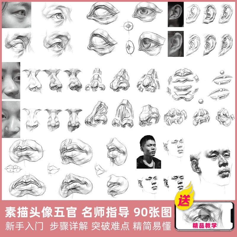 Sketch Portrait Head Portrait Structure Five Features Figure Real life Copying Book Album Zero Basic Painting