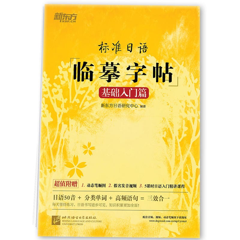 New 3D Groove Copybook Calligraphy Learning Japanese hiragana Copy Books Erasable Pen Refill Sets Writing Tools for Adults Kids