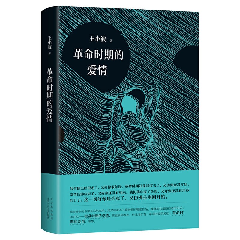 Love in the Time of Revolution by Wang Xiaobo Chinese Edition Hardcover Book