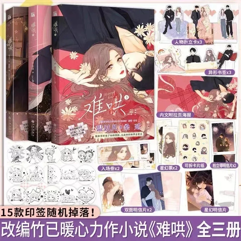 New Eternal Love (Nan Hong) Original Manga Book Volume 1-3 Wen Yifan, Sang Yan Youth Urban Romance Chinese BG Comic Book