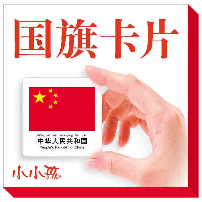 New Flag card with 108 country with the pictures english and pin yin For kids Children Learn Chinese stroke,learn hanzi Book