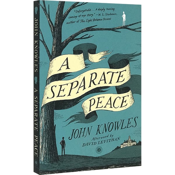 A Separate Peace, Teen English in books story, Film on novel based 9780743253970