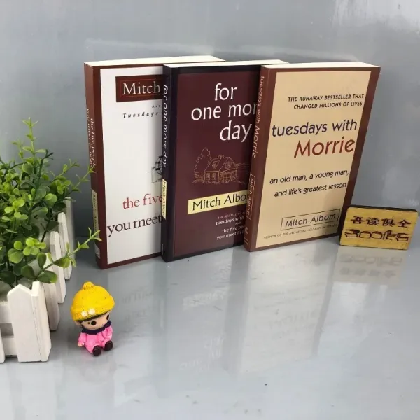 3 Books/set  Meet Me on Tuesday and Give Me Another Day. The Five Best-selling English Novels You Met in Heaven