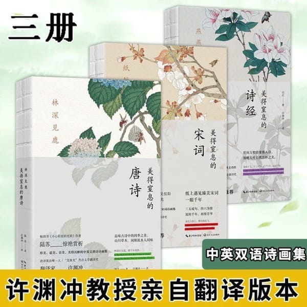The Suffocatingly Beautiful Tang Poems And Song Chinese  English Bilingual Literature Prose Famous Books