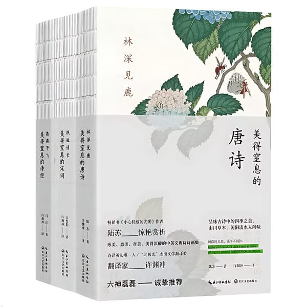 Tang Poetry Song Ci Book of Songs Breathtakingly Beautiful Chinese Classical Poetry Chinese and English Bilingual Poetry Books