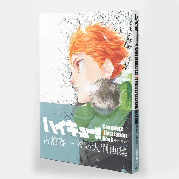 Japan Anime Haikyu!! Art Collection Cartoon Manga Book Japanese Edition Comic Official Formula Set Book Hinata Shoyo
