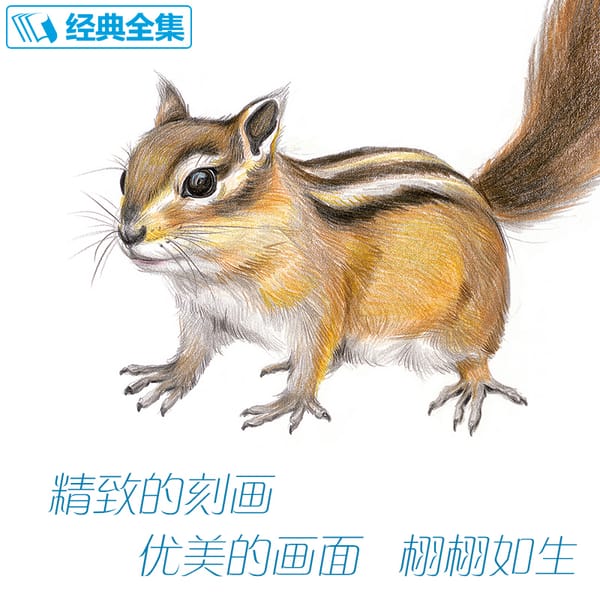 New arrivel Colored Pencil Drawing Tutorial Art Book 20 kinds of animals super detailed color lead hand-painted tutorial book