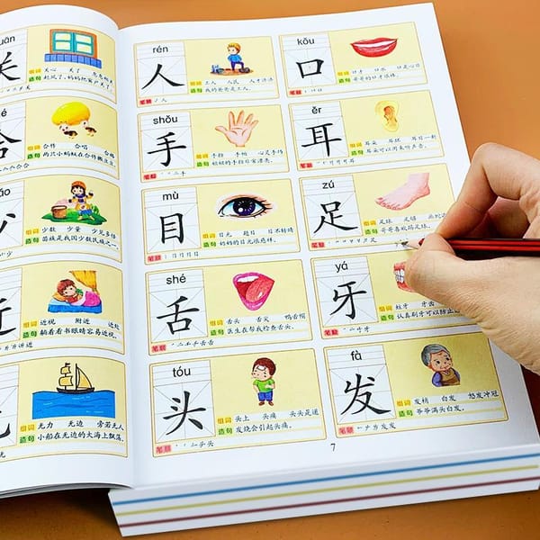 3000 word reading book Full set of literacy king baby 3-6 years old children's book simple Chinese characters Libros