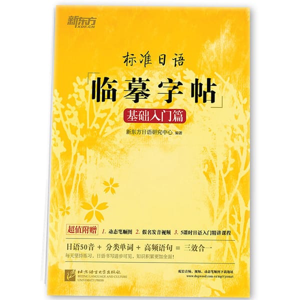 New 3D Groove Copybook Calligraphy Learning Japanese hiragana Copy Books Erasable Pen Refill Sets Writing Tools for Adults Kids