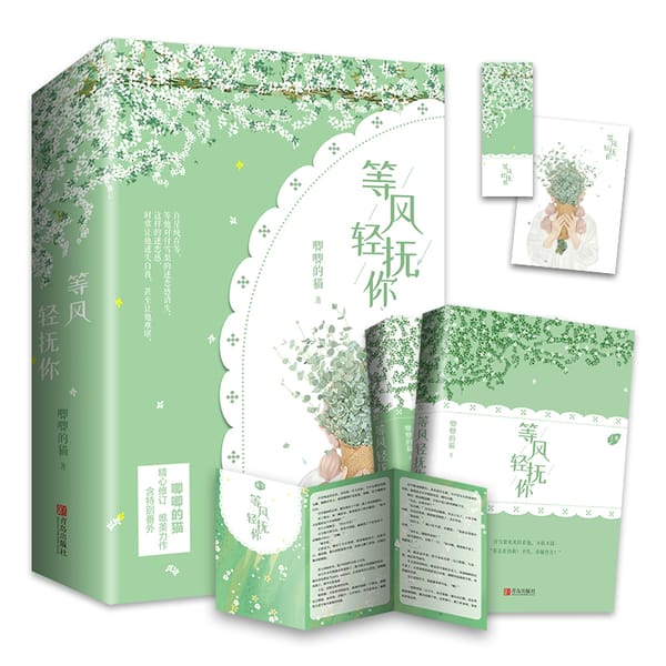 2 Books/set Deng Feng Qing Fu Ni Original Novel Ji Ji De Mao Works Youth Campus Romance Novel Chinese Fiction Book
