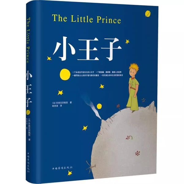 world famous novel The Little Prince (Chinese Edition ) book for children kids story and learn chinese book